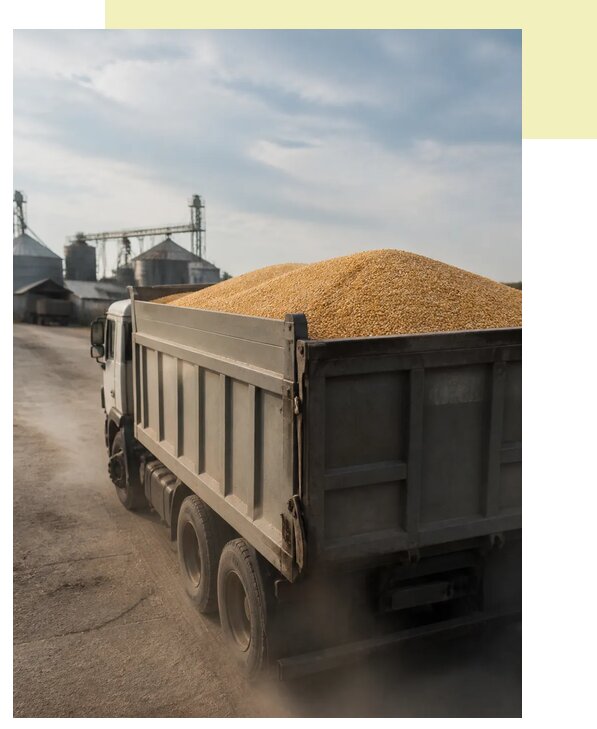 Перевозка сельхозпродукции навалом в Острогожск по цене от 3129 р. | Агросервис-Стг